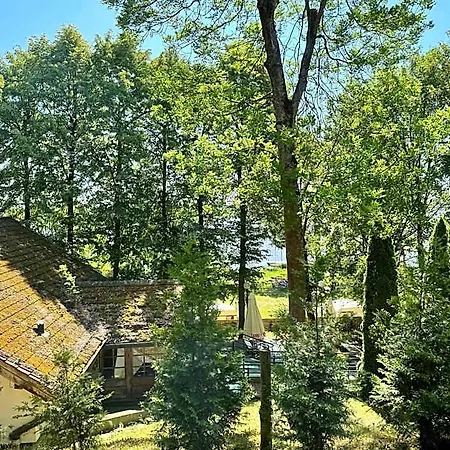 Geovita Готель *